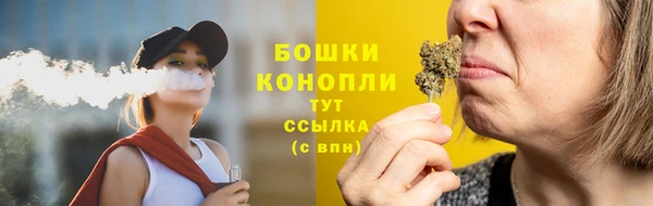 PSILOCYBIN Пестово